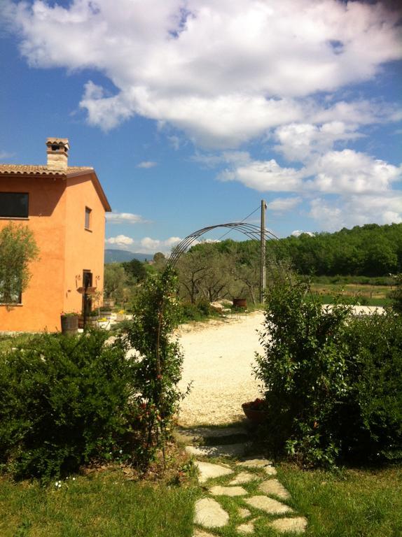 Fattoria Del Quondam Villa Giano dell'Umbria Luaran gambar